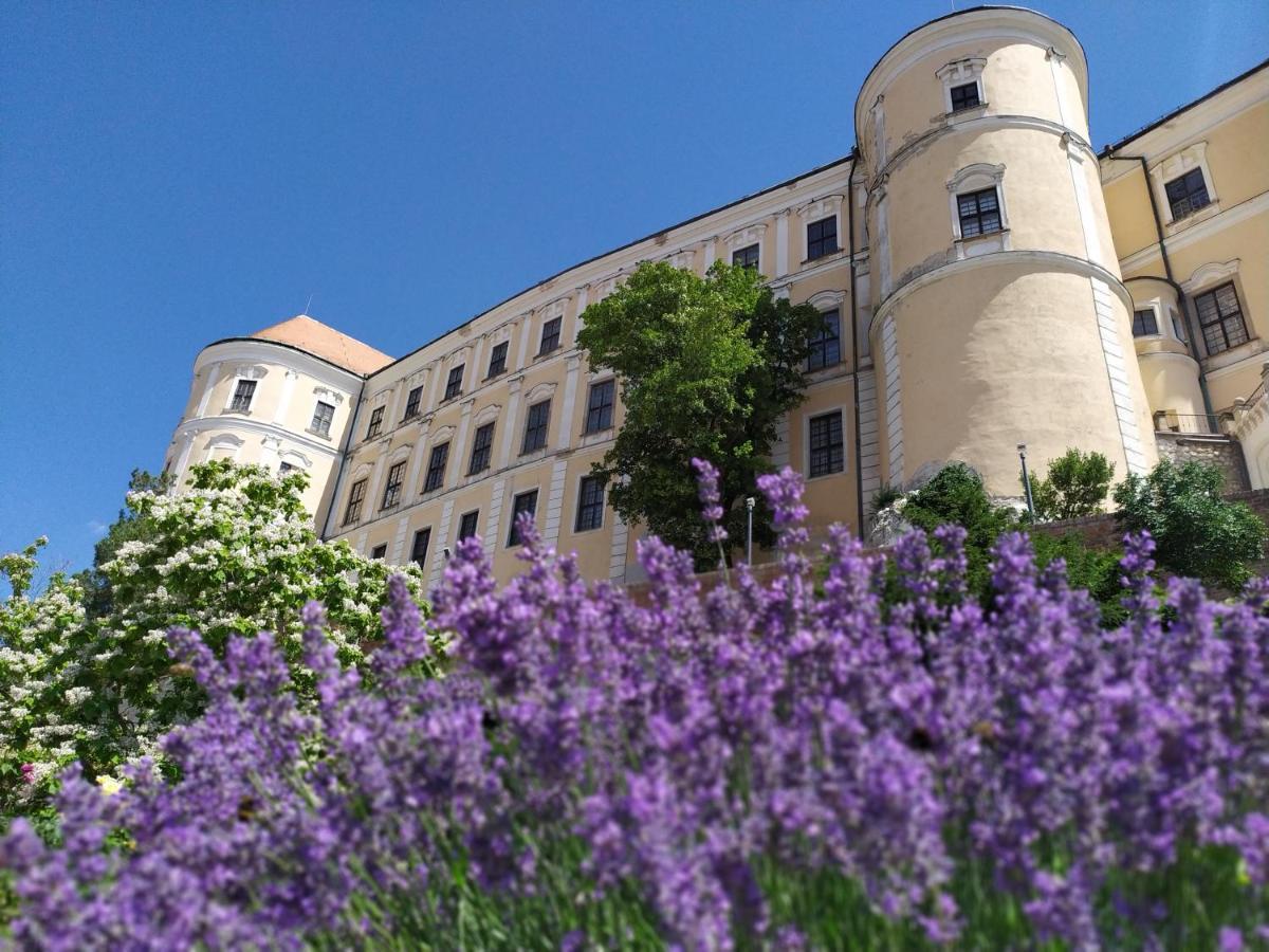 Apartmán Jan Breclav Bagian luar foto